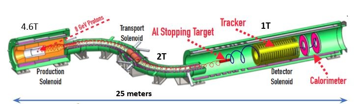 Mu2e Detector